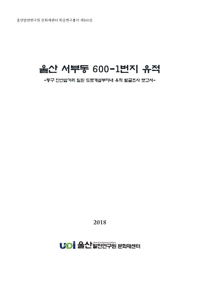 100.JPG