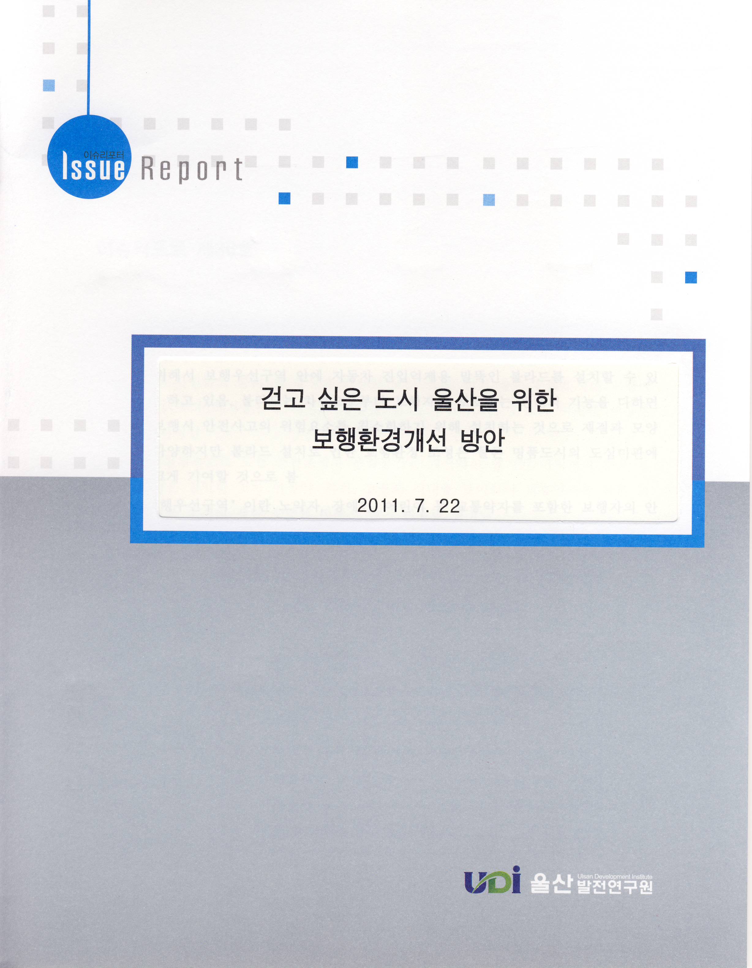 issue report 36.JPG