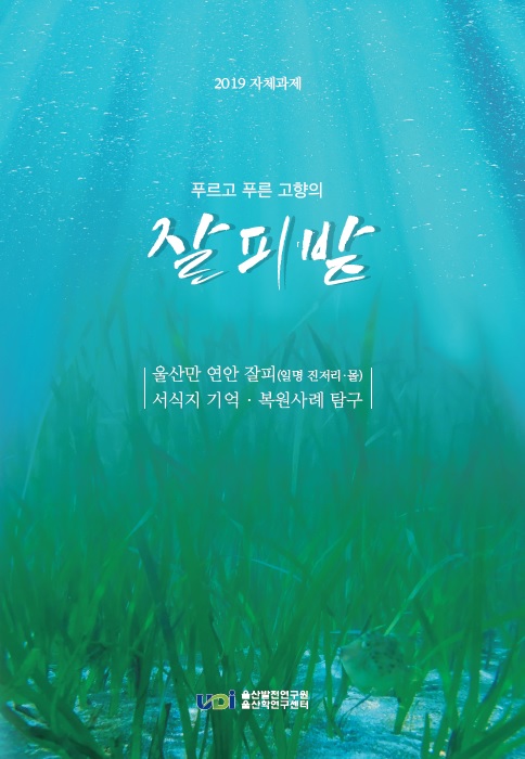 자체과제.jpg