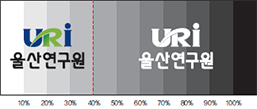 흑백사용기준